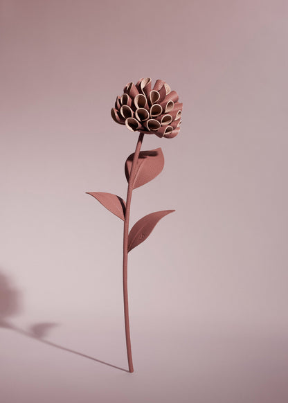 Fleur Dalium - Blush