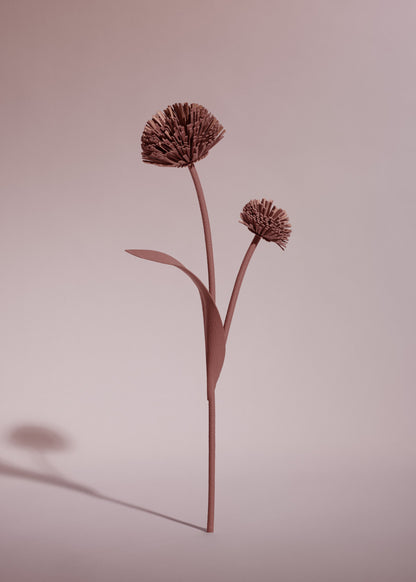 Fleur Tul - Blush