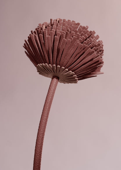 Fleur Tul - Blush
