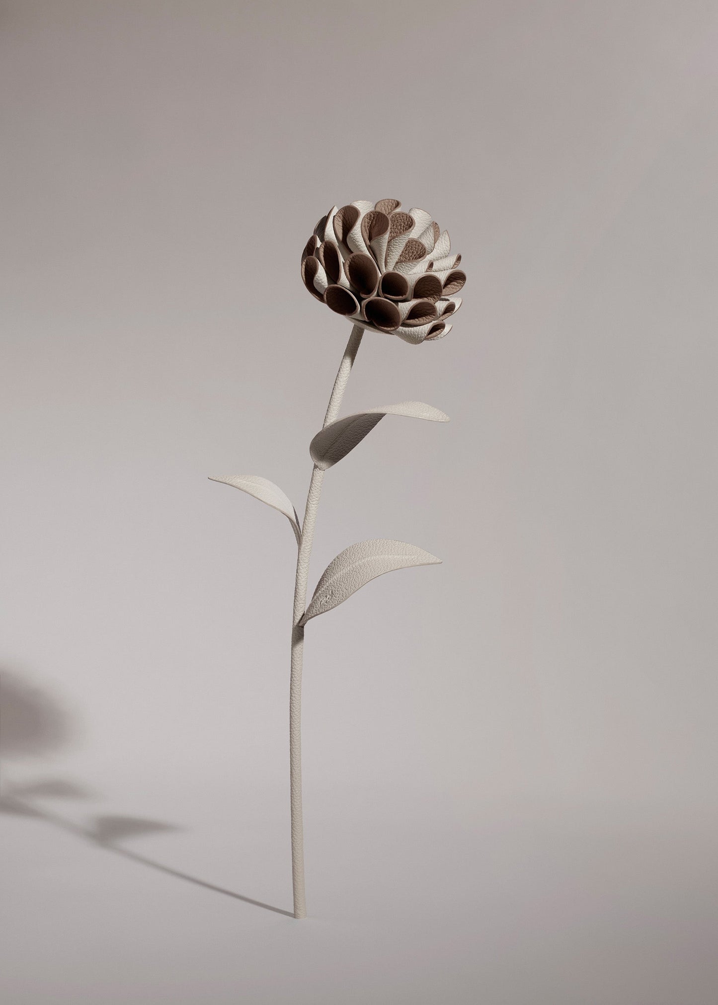 Fleur Dalium - Craie