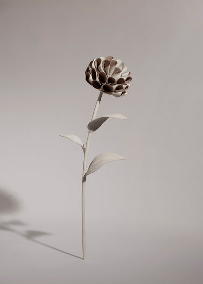 Fleur Dalium - Craie