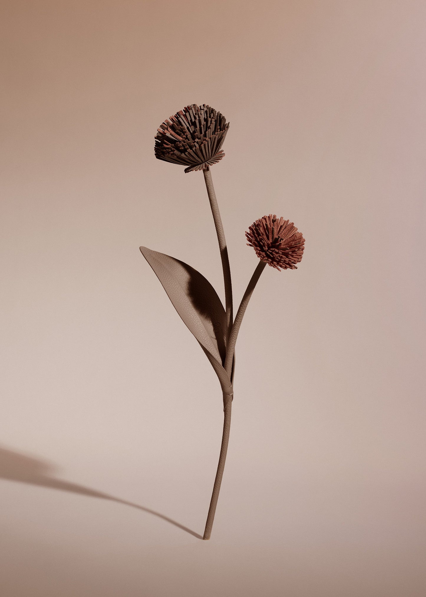 Fleur Tul - Racine