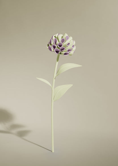 Fleur Dalium - Aloe
