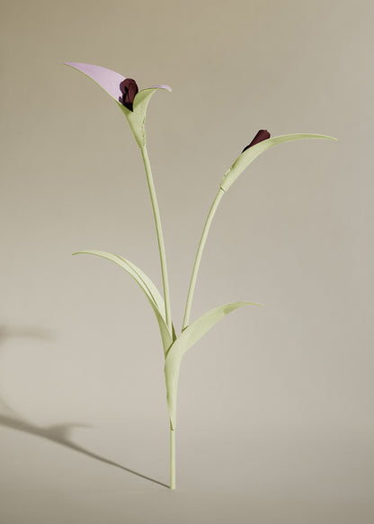 Fleur Touka - Aloe