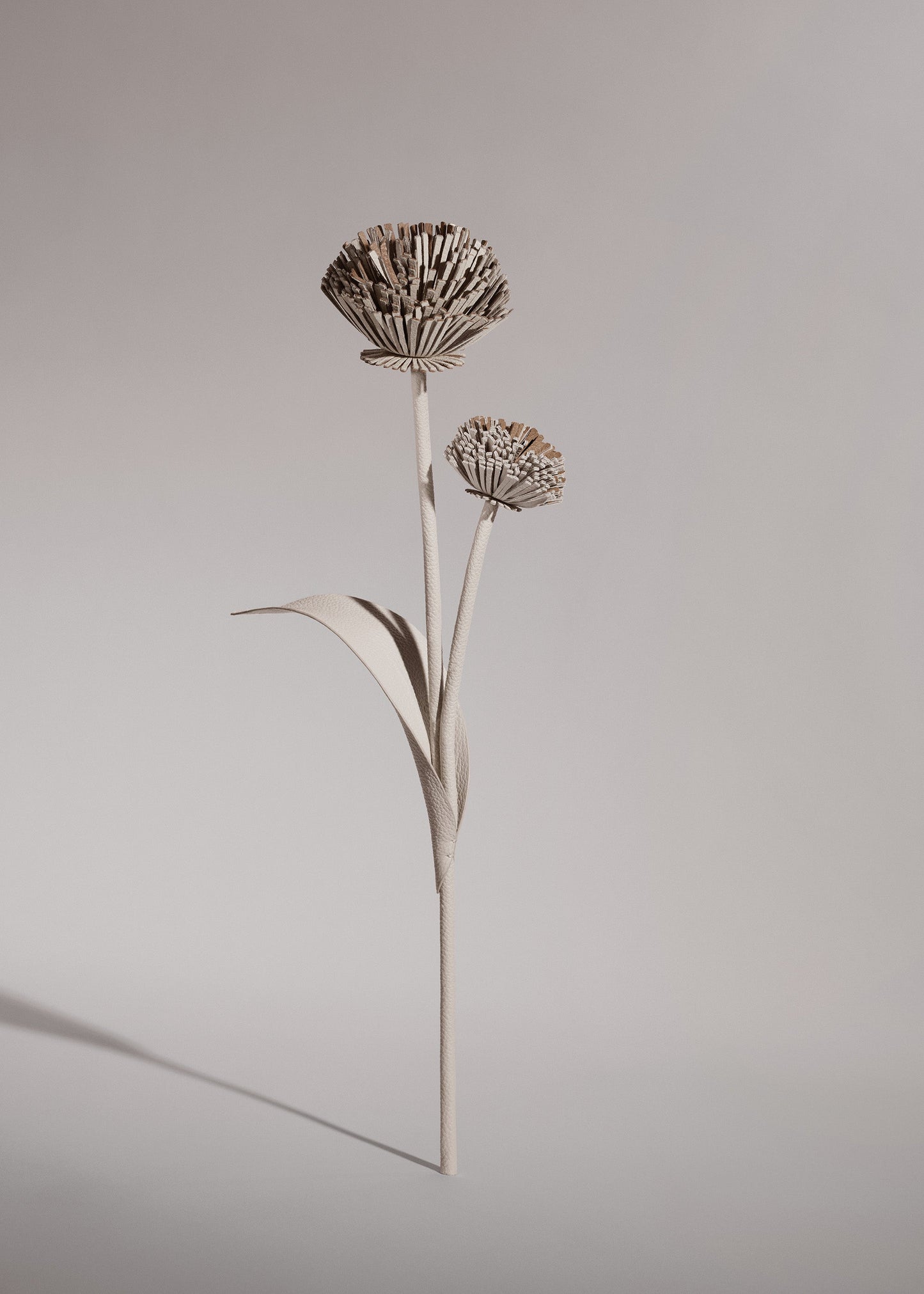 Fleur Tul - Craie