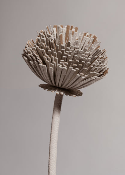 Fleur Tul - Craie