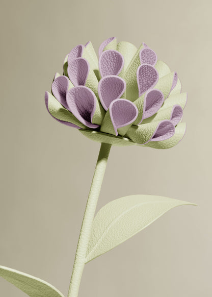Fleur Dalium - Aloe