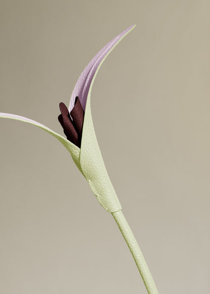 Fleur Touka - Aloe