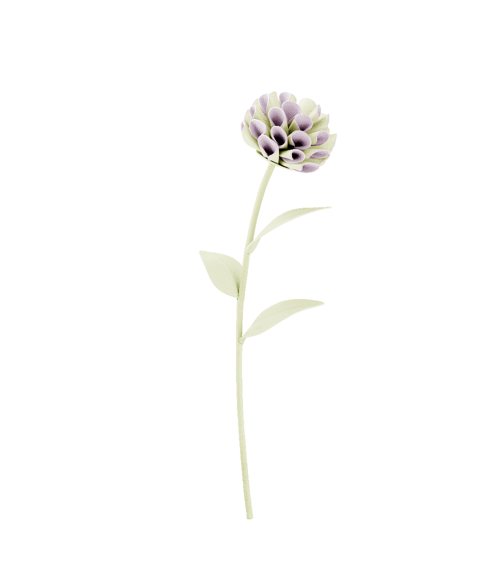 Fleur Dalium - Aloe