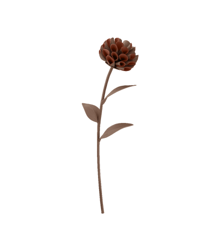 Fleur Dalium - Racine